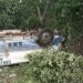 uew bus rolls off road at Aperede