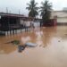 Dza ɔdze nsuyirii ba na kwan a yɛbɛfa do esiw ano kwan