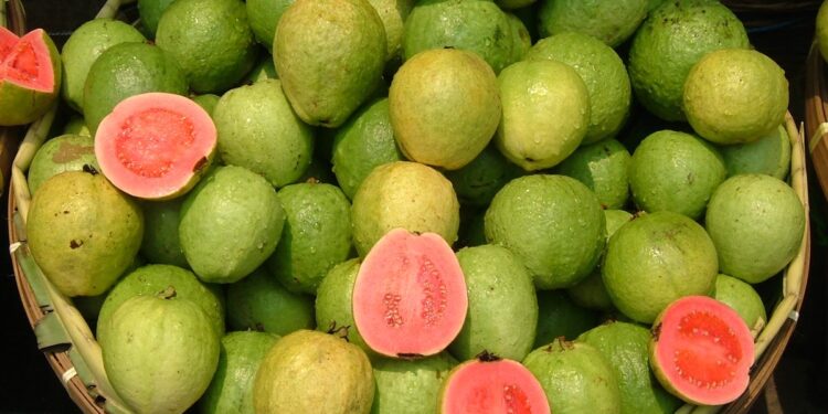 Dza ɔsɛ dɛ ihu fa eguaba ho