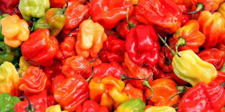 Ɔhaw nnum binom a sɛ wodi mako pii a wobɛtumi akɔ mu