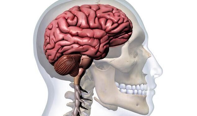 Deɛn na wonim fa adwene no ho?