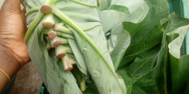 Deɛ ɛmaa yɛbɛnyaa edin nkotommire – Bɔserɛmka bi