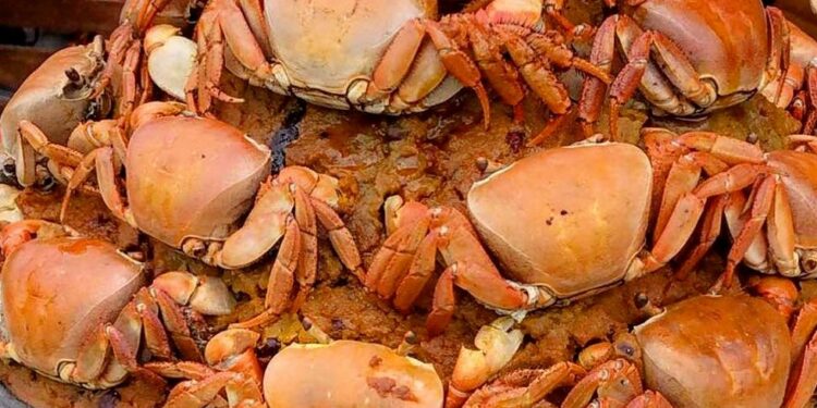 Nneɛma nson binom nti a ɛsɛ sɛ wodi kɔtɔ