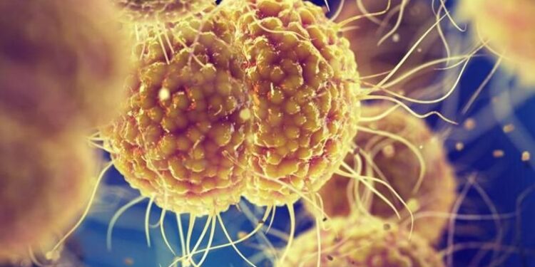 Babaso, ɛho nsɛnkyerɛnneɛ, nneɛma ahodoɔ ɛbɔ kwan ma no tumi ba ne ɔhaw afoforɔ a ɛno nso tumi de ba.