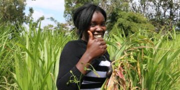 Kuadwuma bɛtumi ama mmabunu adi yie