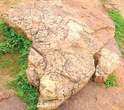 Ͻbotan a εte sε abibiman asase ho mfoni no – Bunkpurugu kuro so